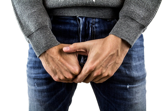 Why is the prostate important?